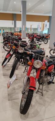IMG_20260523_131957.jpg