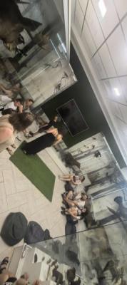 IMG_20260629_191339_758.jpg